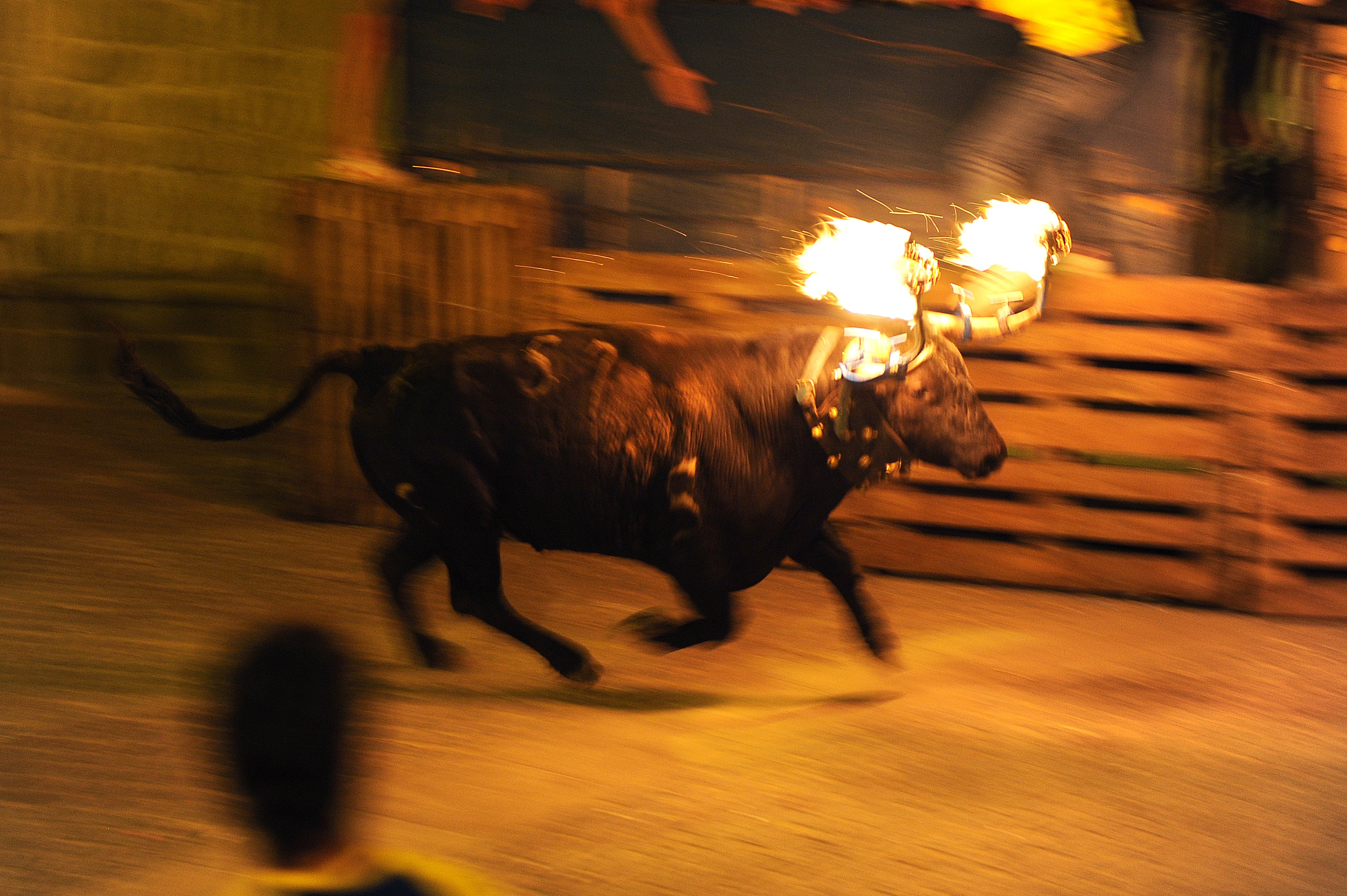 Carrera del toro embolado