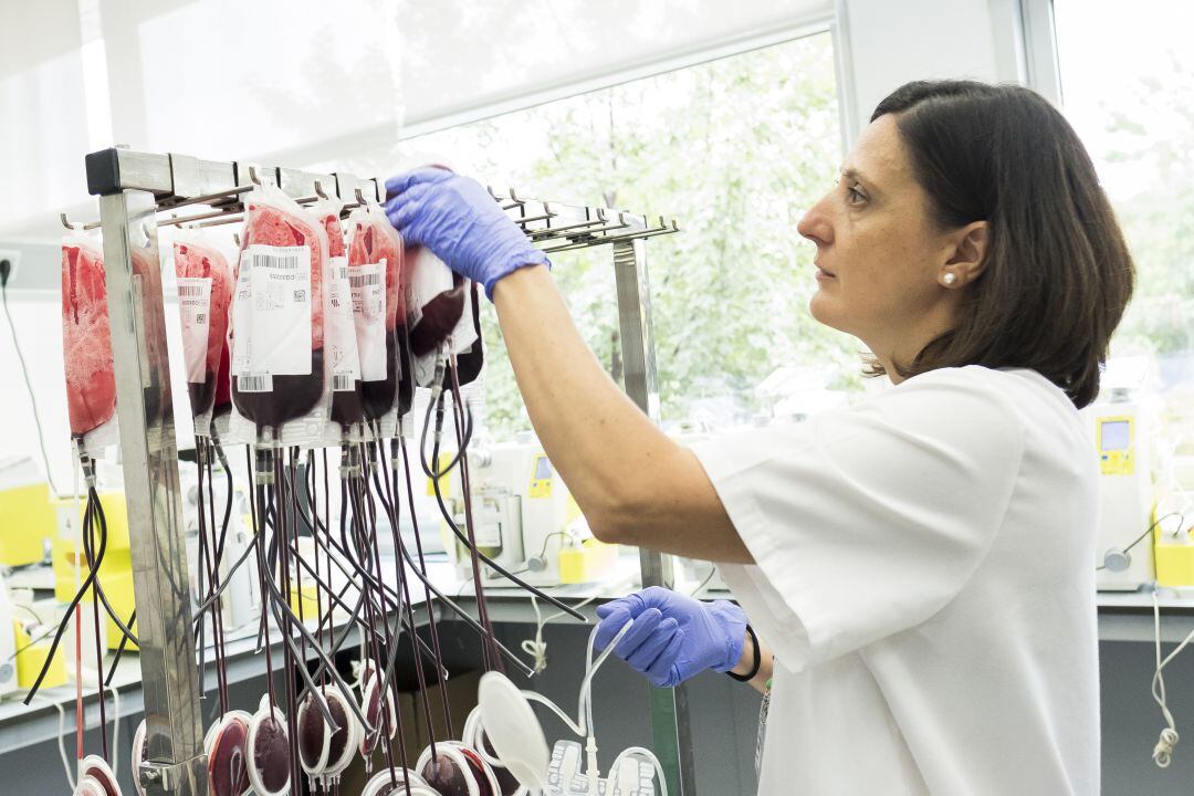 Imatge d'arxiu d'un banc de sang