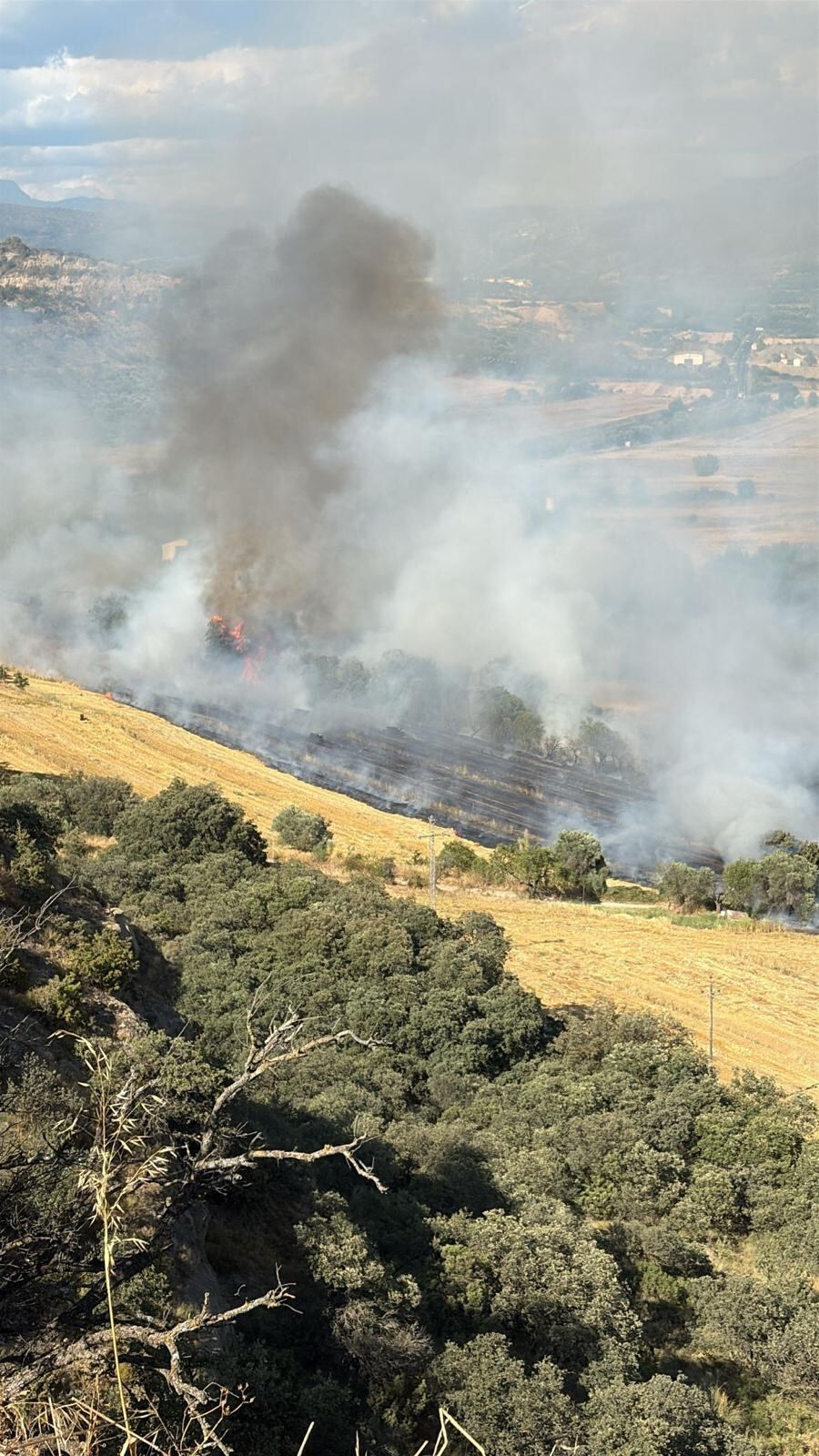 El incendio quemó un campo de cereal