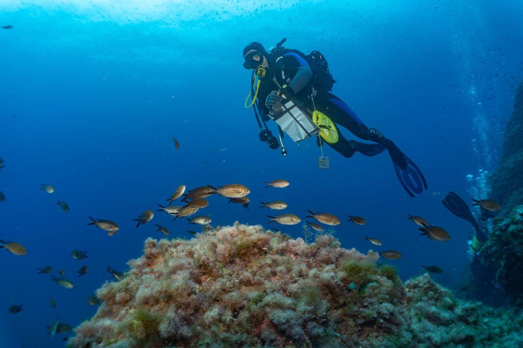Fondos marinos de es Freus