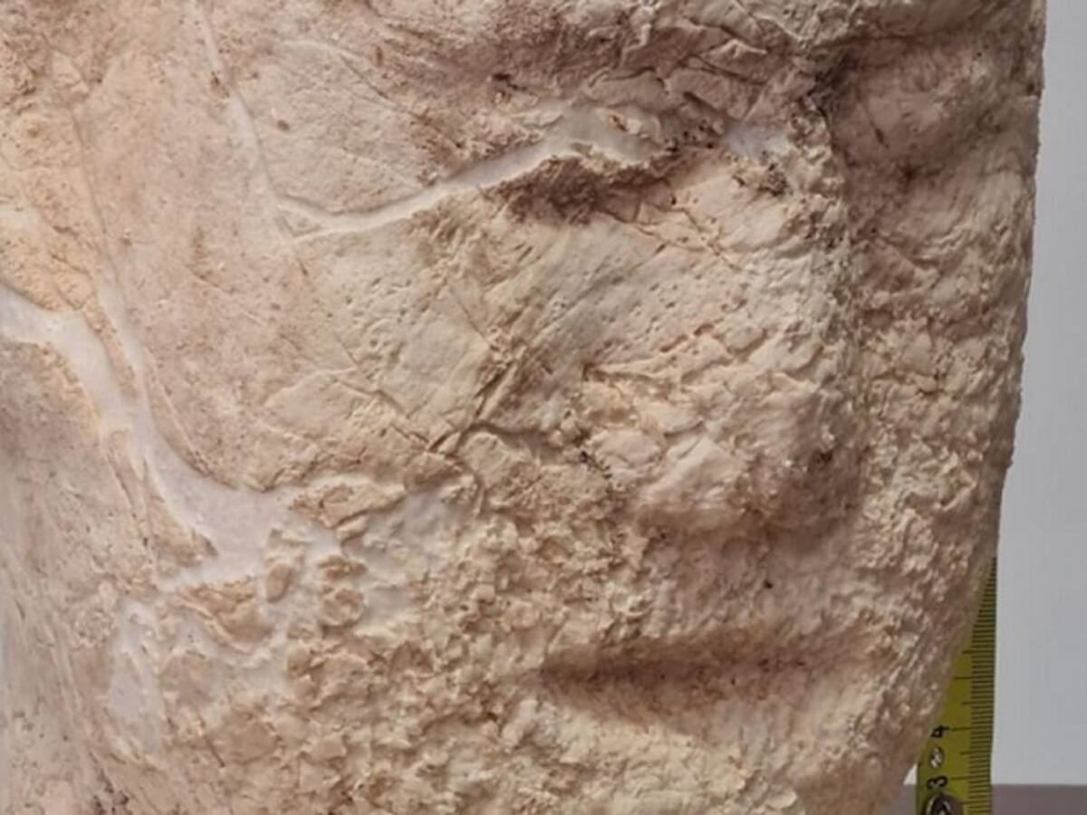 Hallazgo arqueológico en El Rubio: un vecino encuentra una cabeza que puede ser íbera-turdetana