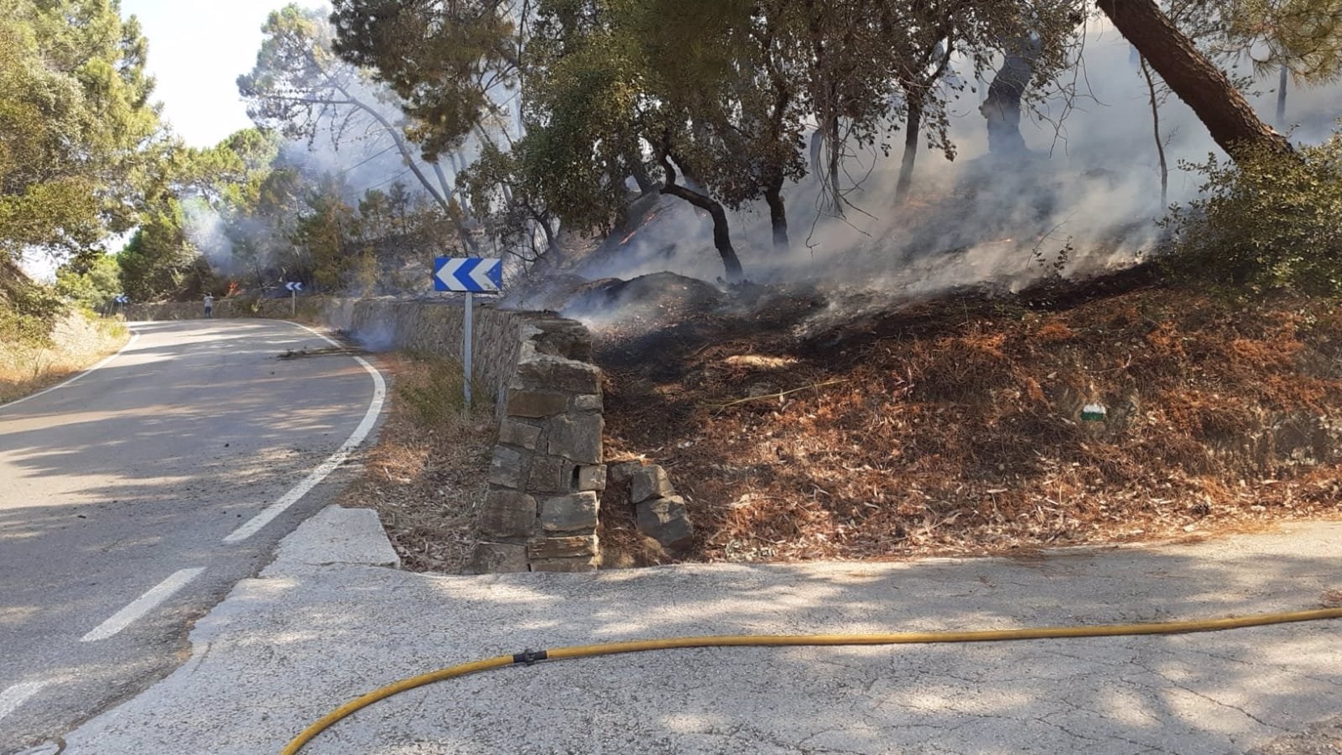 Imagen de un incendio declarado en Casares