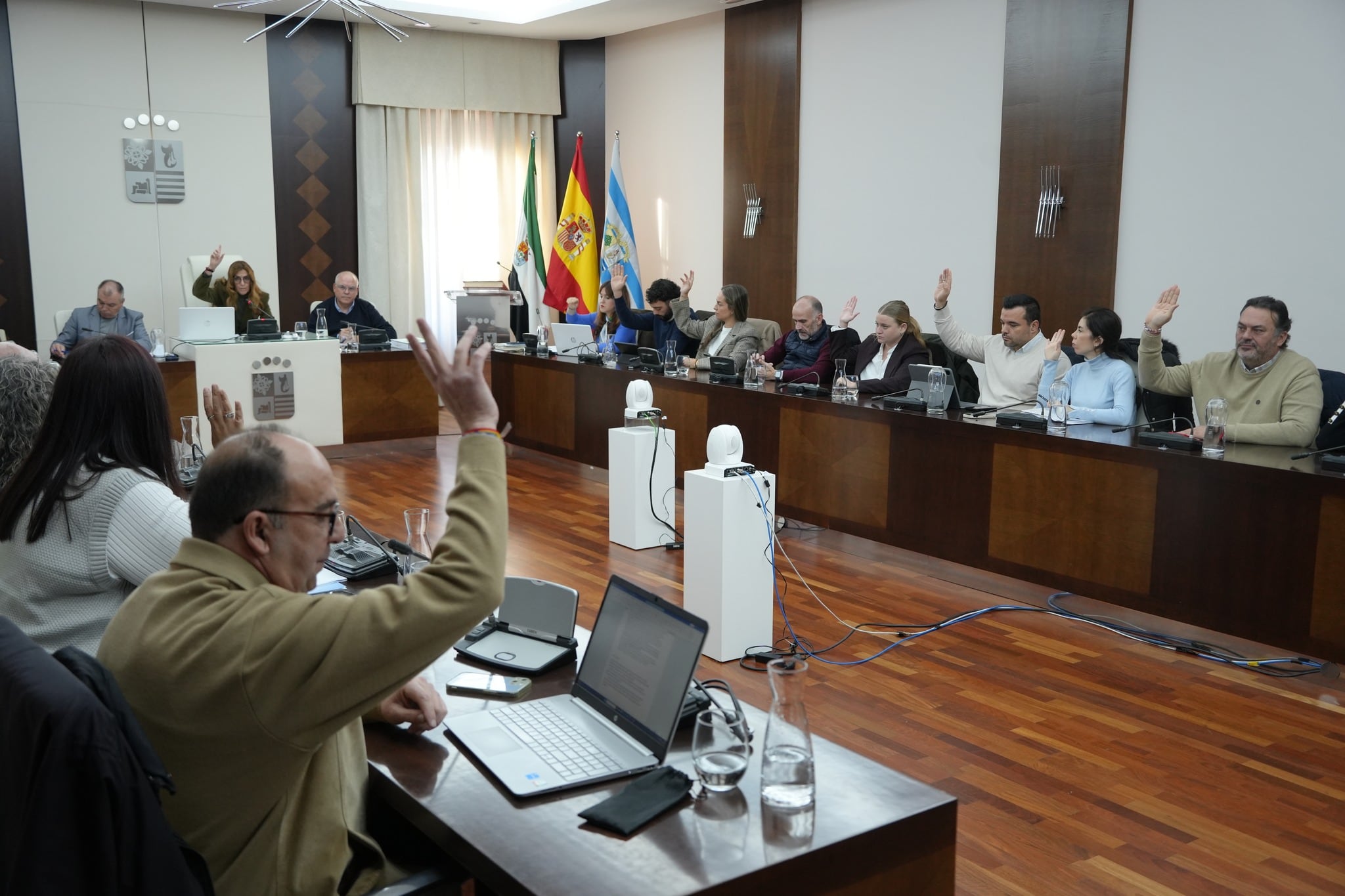 El pleno de Villanueva aprueba los días festivos en los que el comercio podrá abrir en 2026