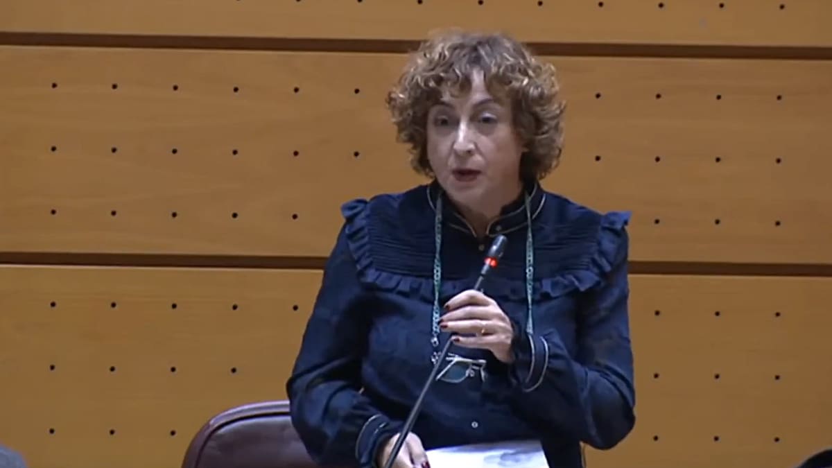 La Columna de Carlos Arcaya: «Los exabruptos de sus señorías...»