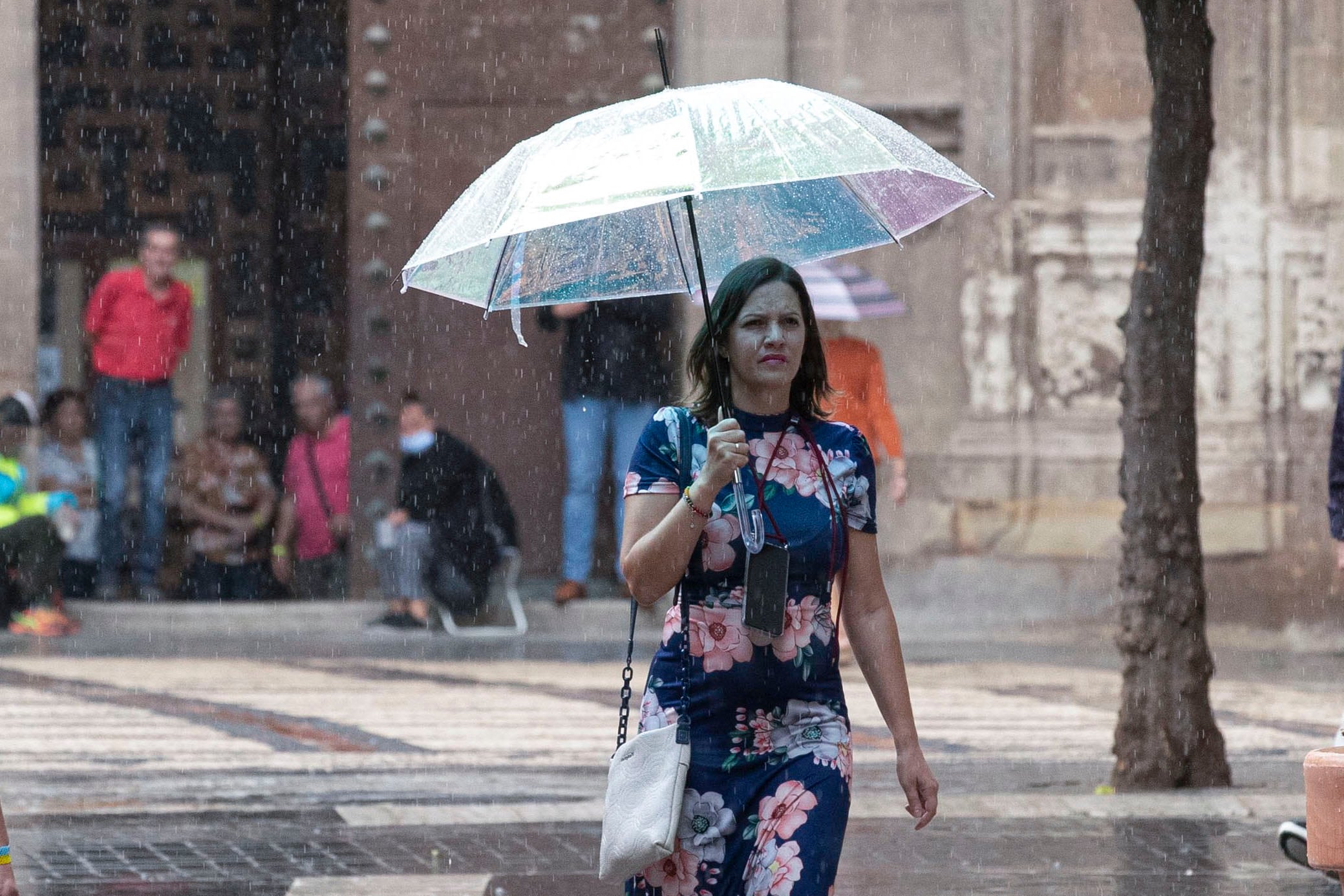 Una mujer se protege de la lluvia con un paraguas en la calle Trapería de Murcia.