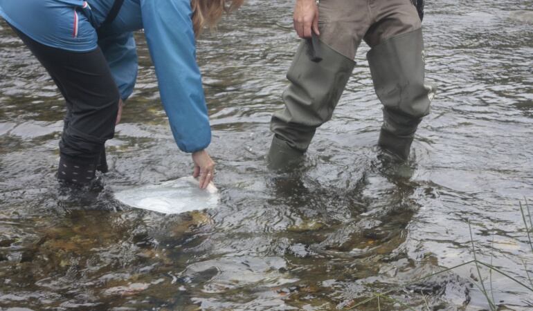 Voluntarios inspeccionando los ríos.