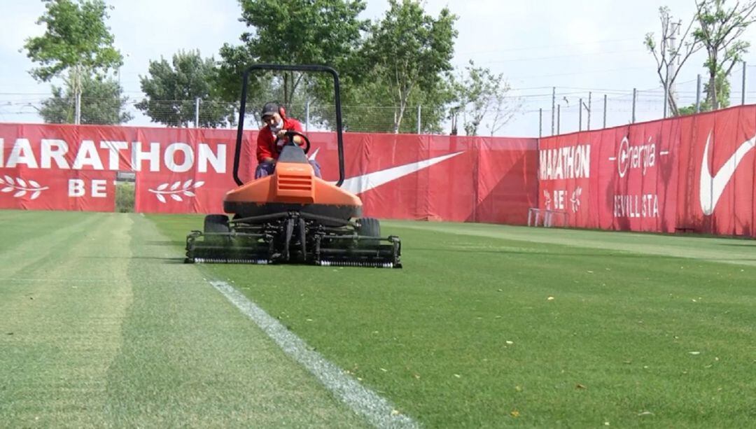 Trabajos en la ciudad deportiva del Sevilla F.C