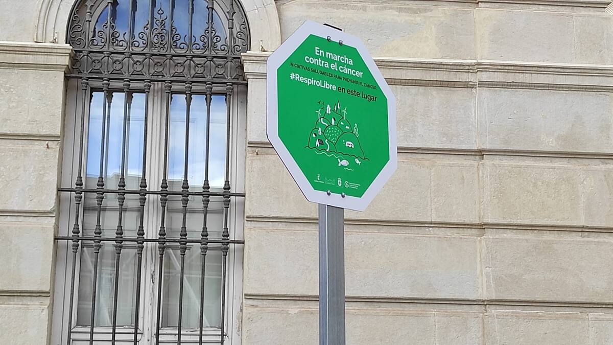 Ciudad Real, en marcha contra el cáncer