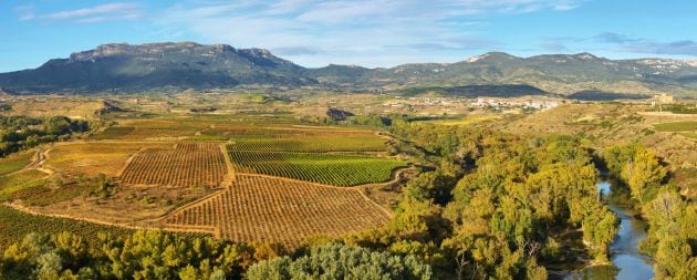 Maravilla de paisaje que se ve desde Briones.