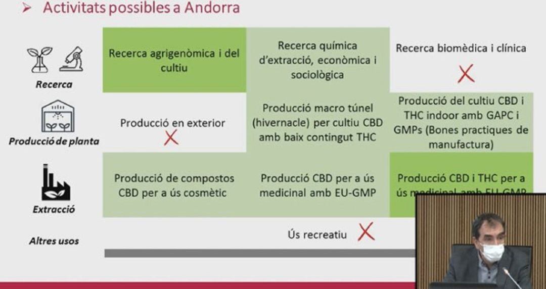 El Govern crea una comissió interministerial per avaluar la viabilitat del negoci al voltant del cànnabis