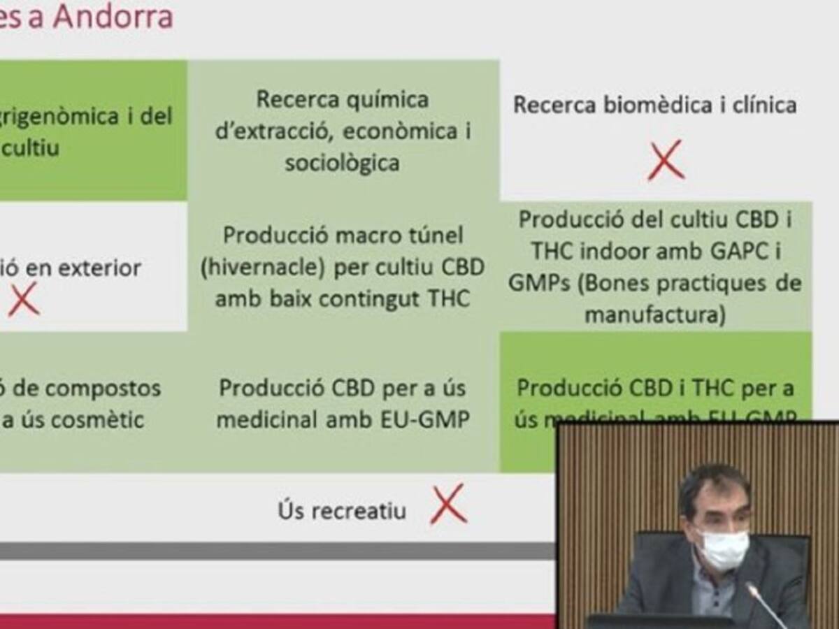 El Govern crea una comissió per avaluar la viabilitat del negoci al voltant del cànnabis