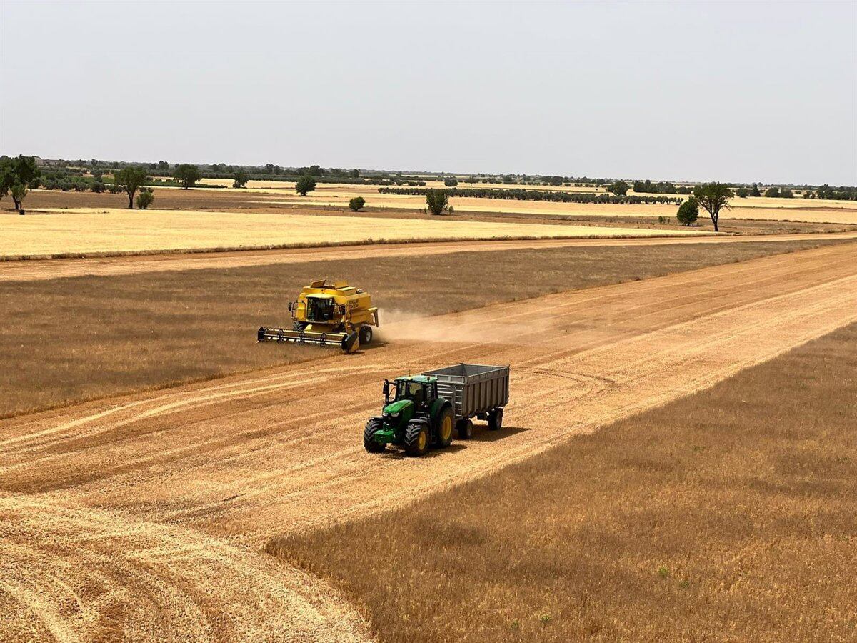 Recogida del cereal en La Rioja.