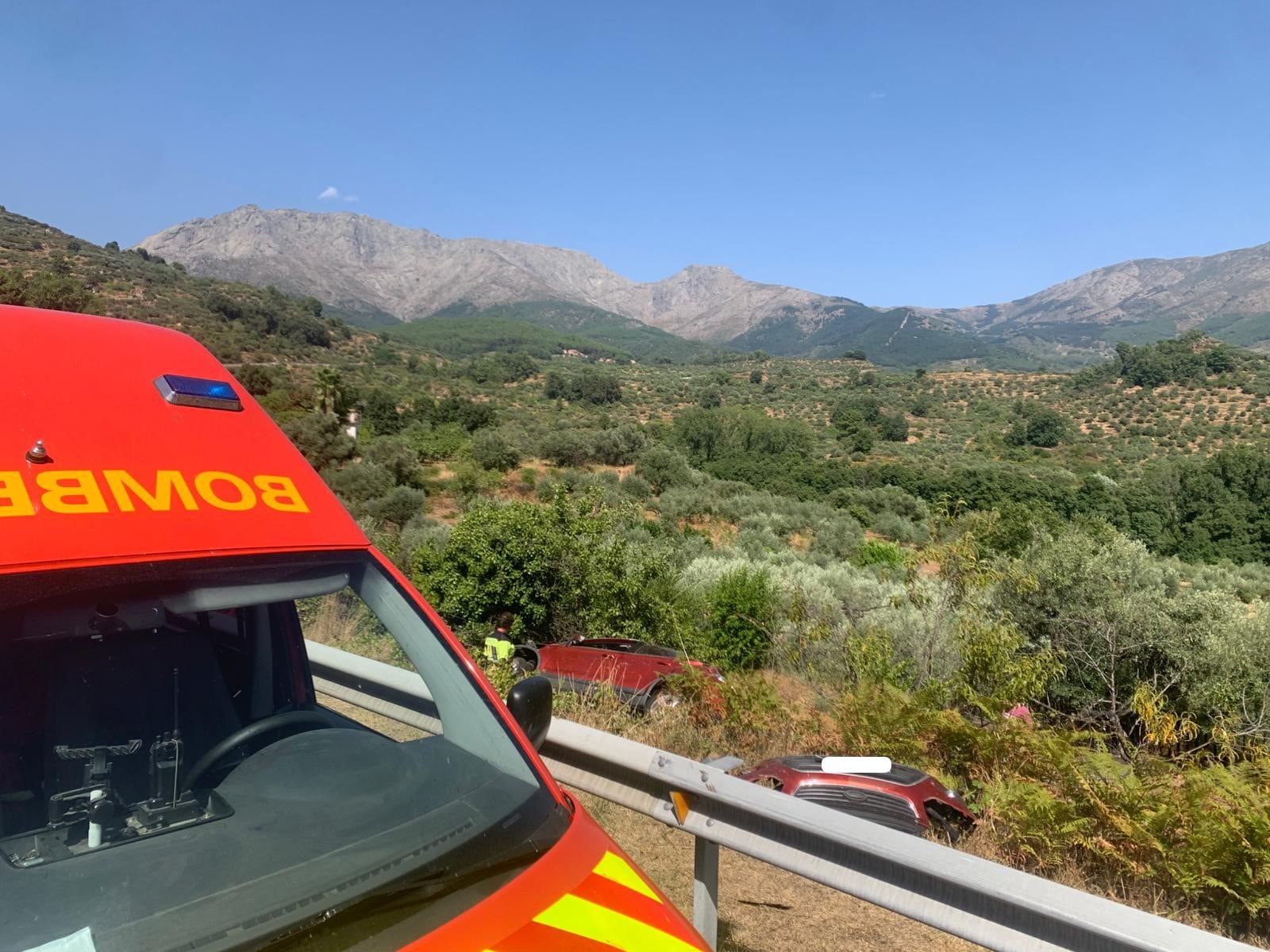 Estado del vehículo