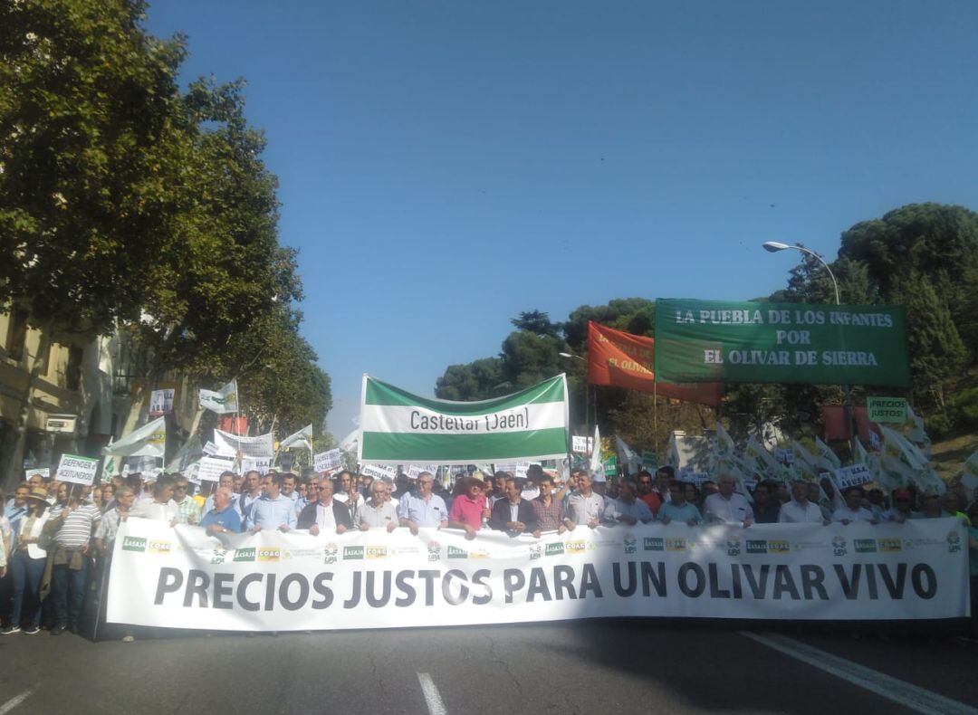 Manifestación en defensa del olivar (Madrid).