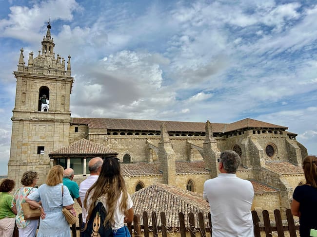Támara de Campos