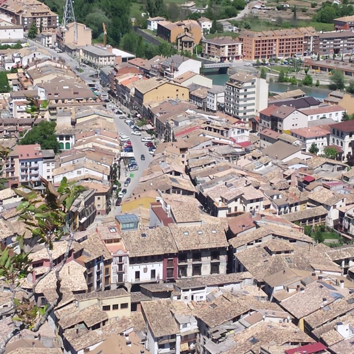 ‘Ha crecido el interés por buscar oportunidades en el medio rural’