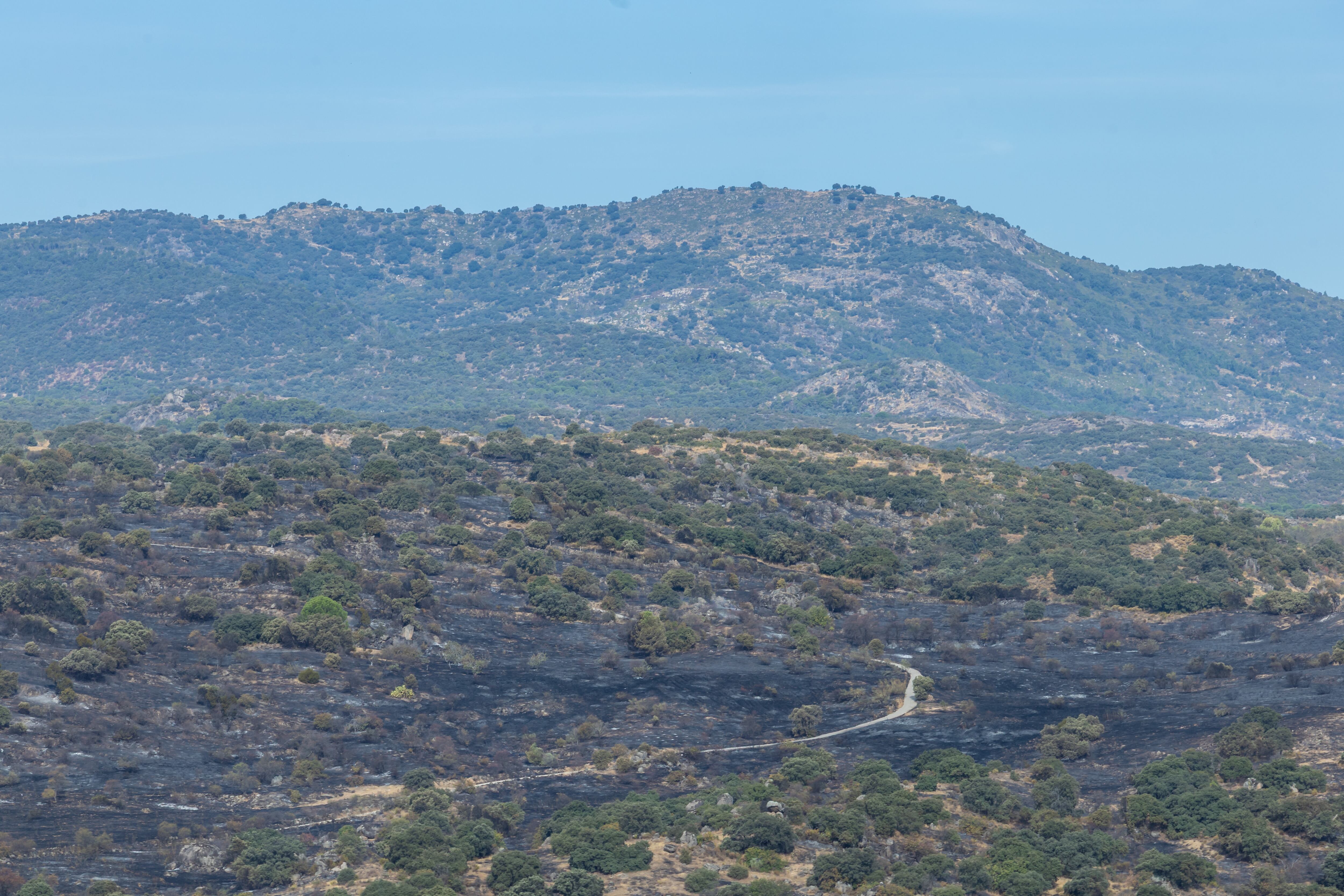 TOLEDO, 10/10/2025.- Zona calcinada por el incendio originado este viernes en la localidad toledana de Almorox. Unas veinte personas han tenido que ser desalojadas durante esta pasada noche de un local de hospedería ubicado en las inmediaciones de un incendio forestal declarado en el término municipal de Almorox (Toledo), que se ha reavivado durante la madrugada. EFE/Ángeles Visdómine