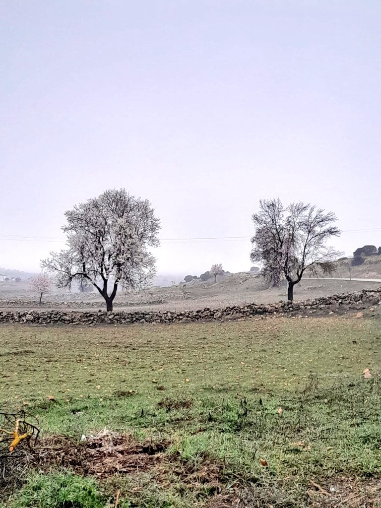 Tarde gris y lluviosa en El Berro (Casas de Lázaro) en este inicio de la primavera meteorológica. © Brígida Prieto Felipe