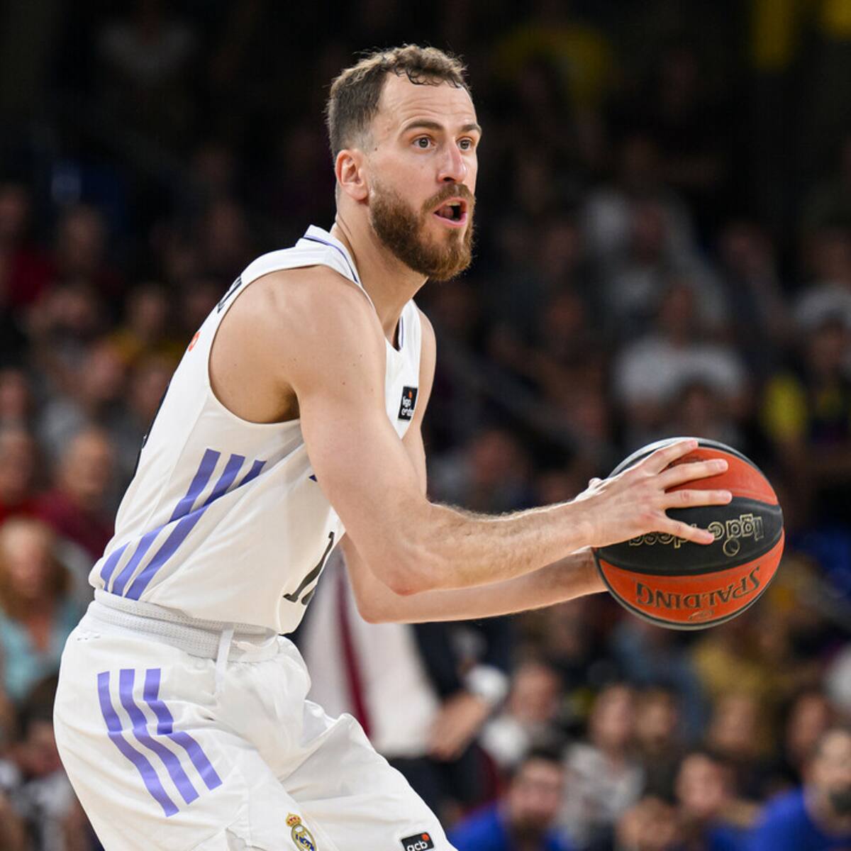 Sergio Rodríguez seguirá en el Real Madrid