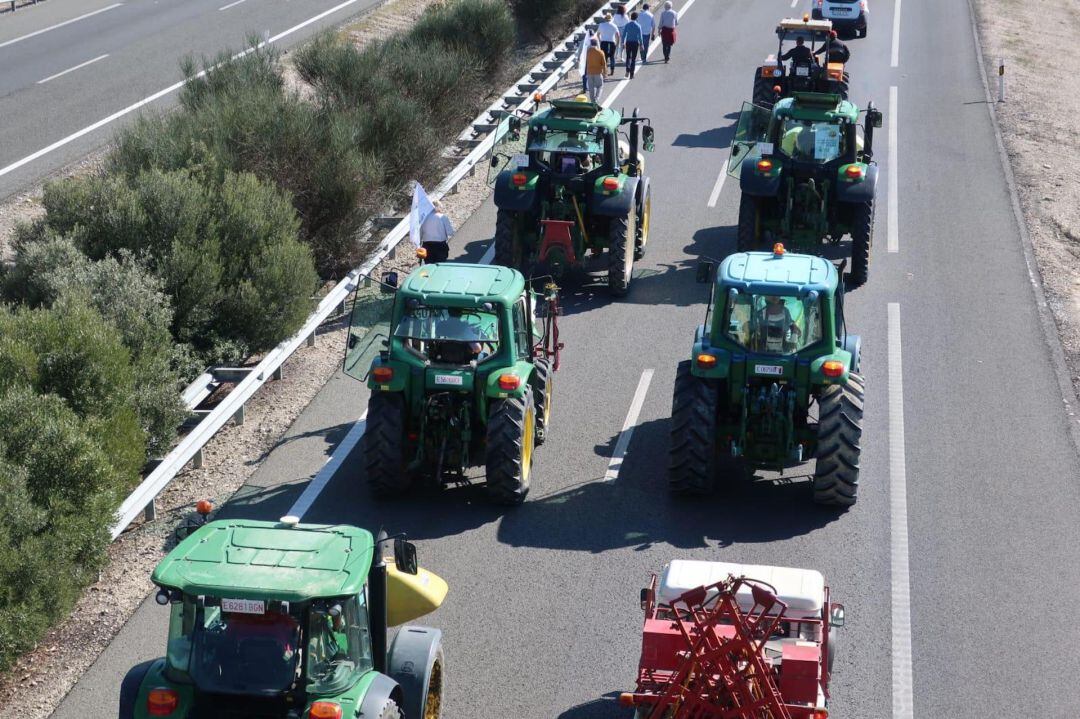 Tractorada de protesta del sector olivarero cordobés