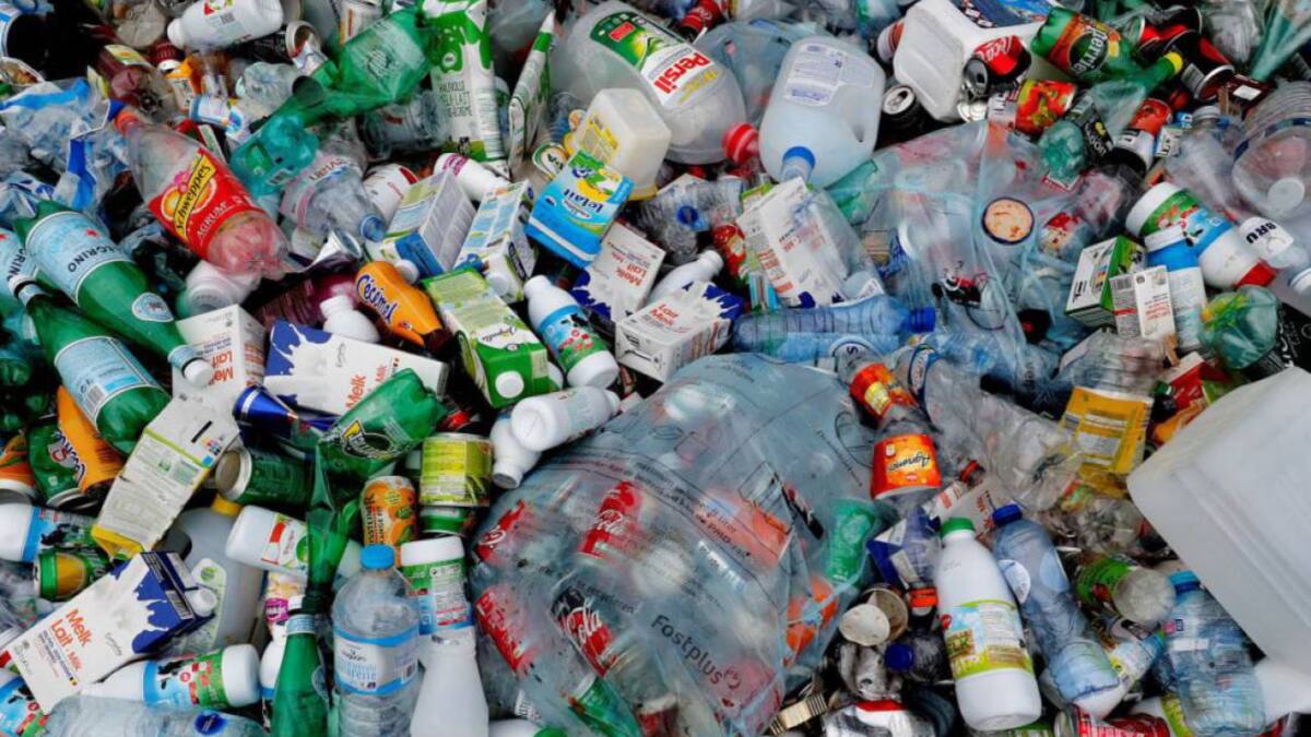 Entrevista en la Ventana a José Manuel Serra, profesor de investigación del CSIC