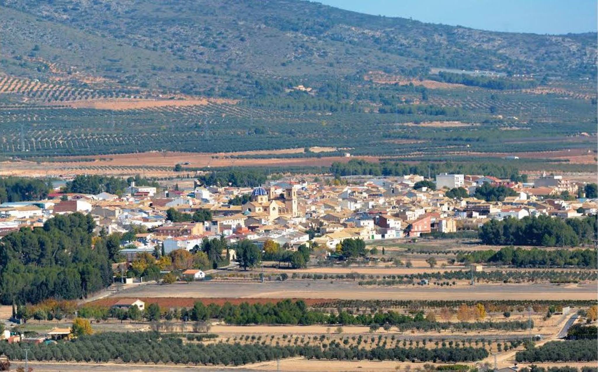 Beneixama en panorámica