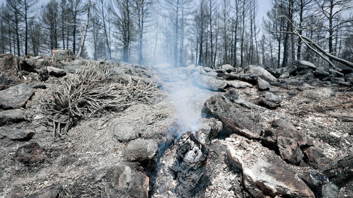 Anàlisi científic d'un incendi forestal
