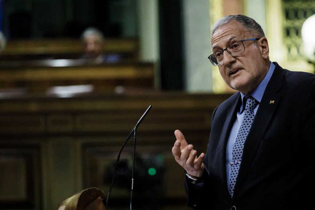 Juan Luis Steegmann, durante una intervención en el Congreso.