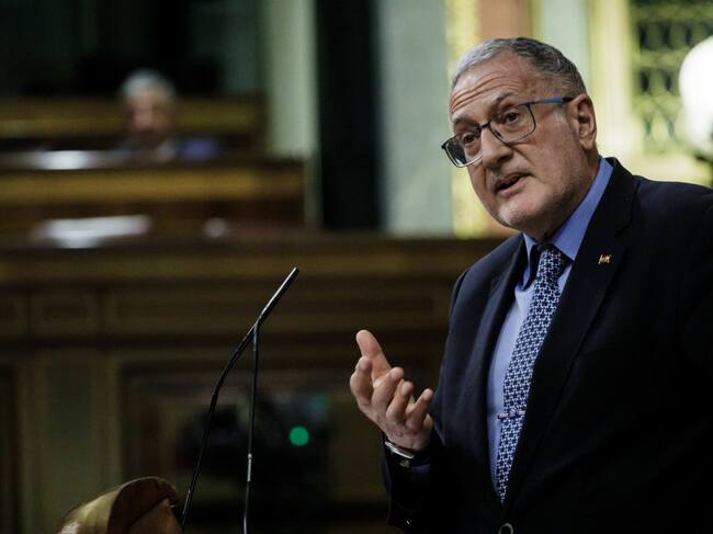 Juan Luis Steegmann, durante una intervención en el Congreso.