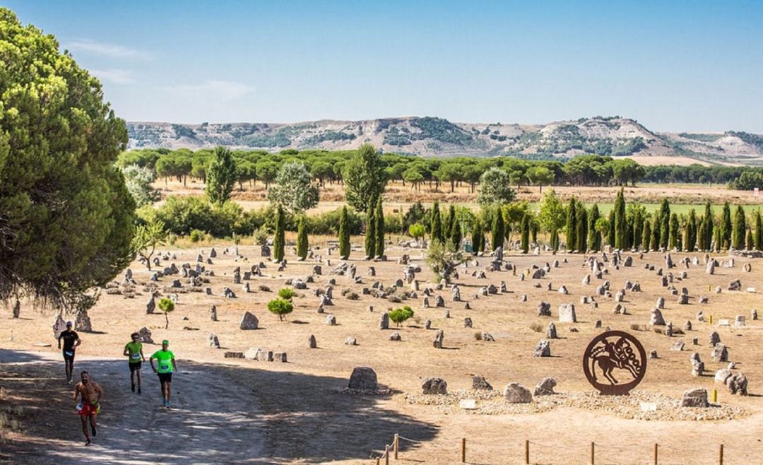 La necrópolis de Las Ruedas de Pintia está totalmente integrada en la actualidad como puede observarse en este paso de la prueba deportiva &#039;Ribera Run Experience&#039; por el yacimiento.