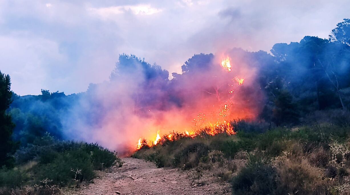 Barranco del Feo en Cartagena