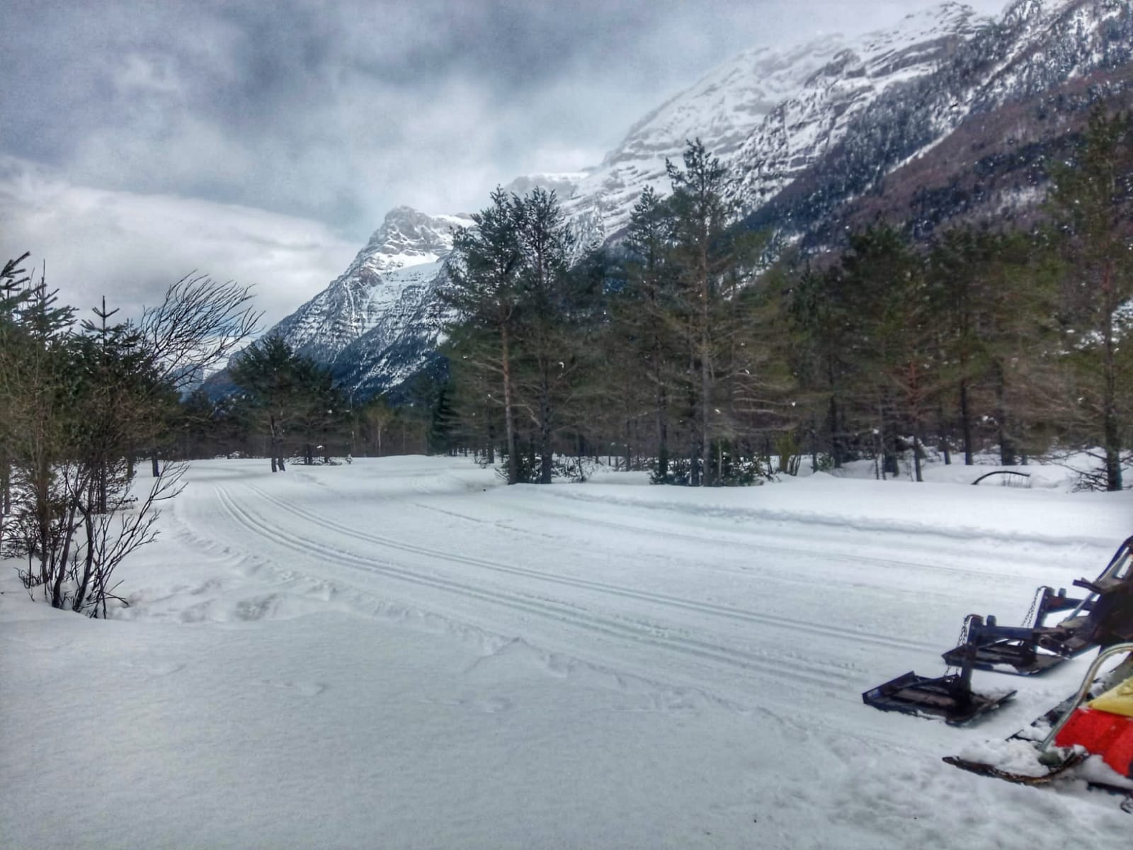 En Pineta, que de nuevo ofrece la actividad de mushing, se podrán disfrutar de sus cuatro circuitos abiertos con una calidad de nieve primavera