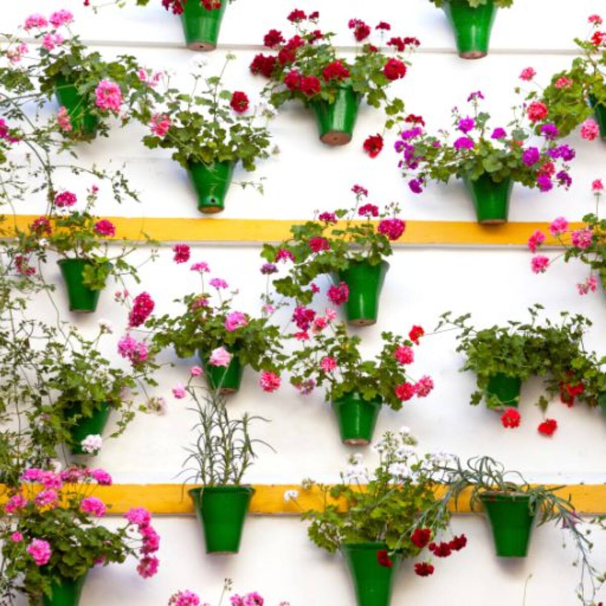 "La solución a los patios no llegará durante las dos semanas del concurso"