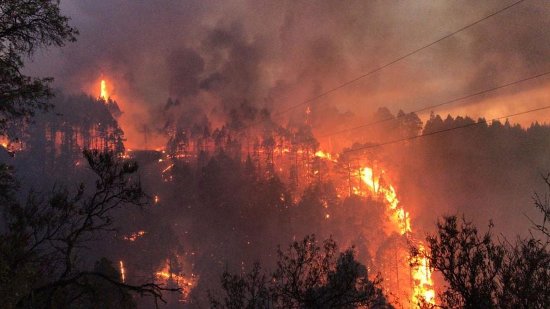 Incendio en Garafía, La Palma