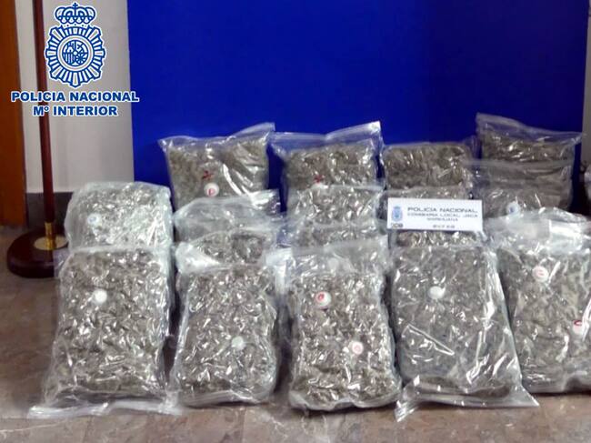 La mercancía había sido envasada con embalaje hermético para enmascarar el olor de la droga