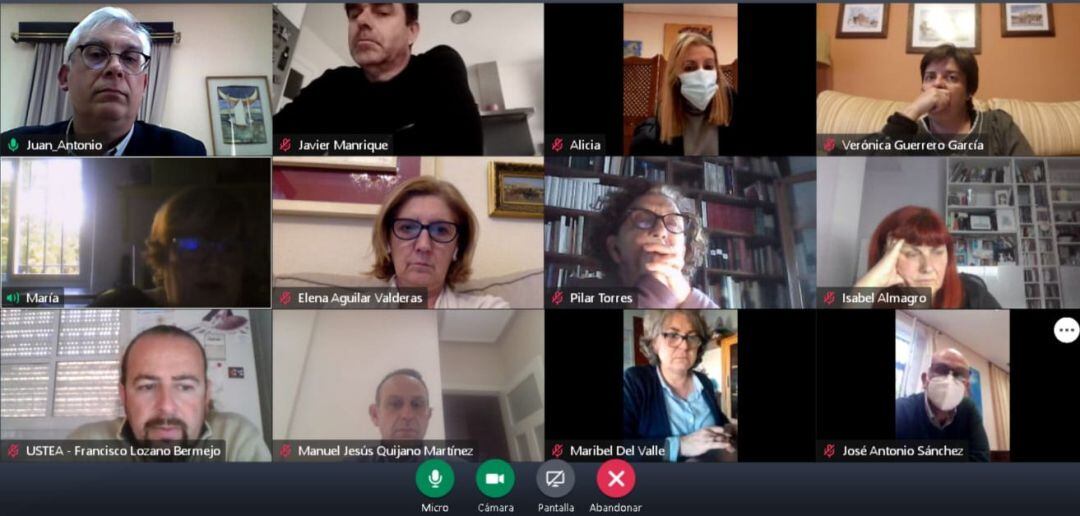 Reunión virtual del Consejo Escolar de Jerez