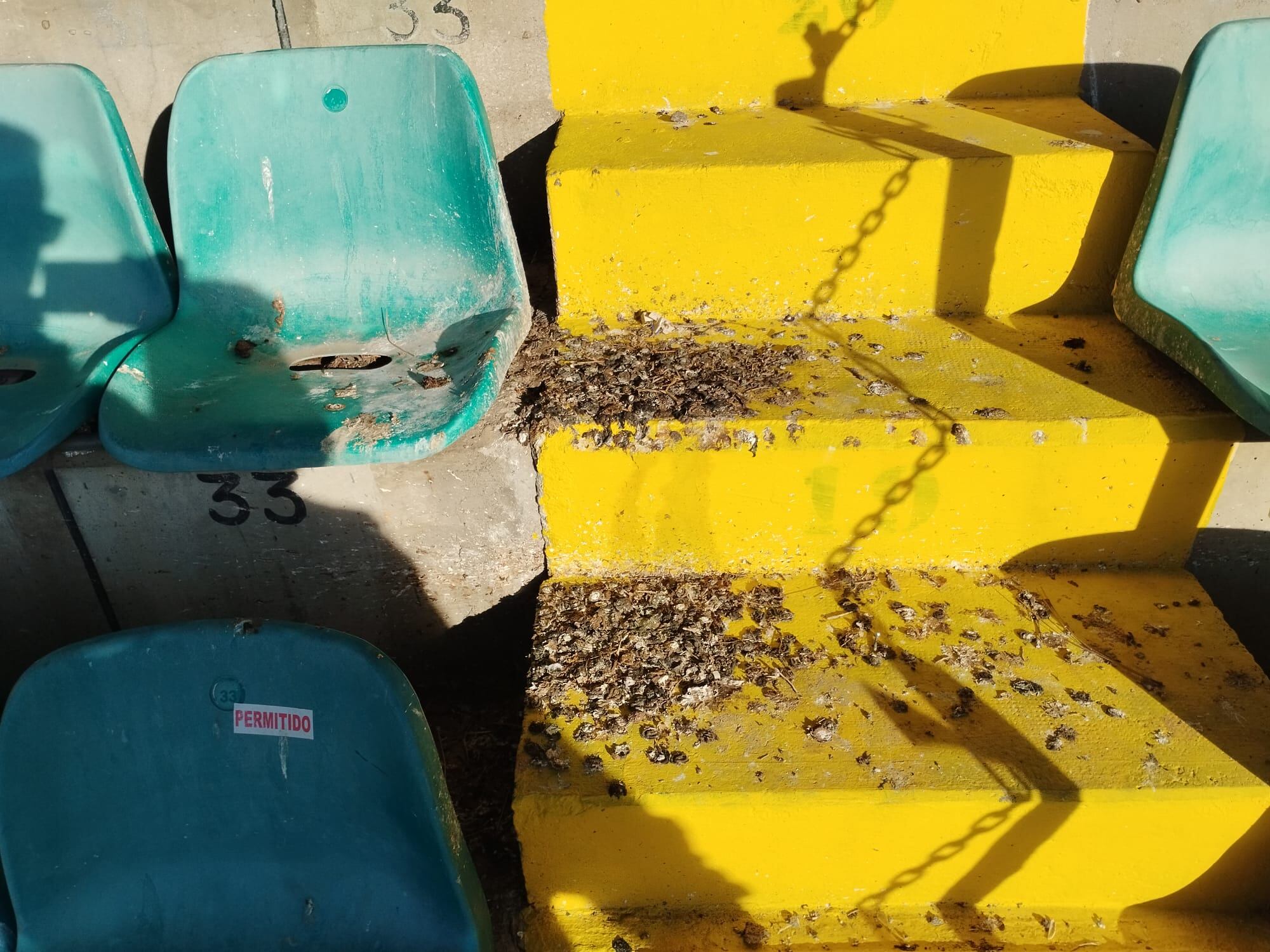 Suciedad en la grada de Preferencia/SER