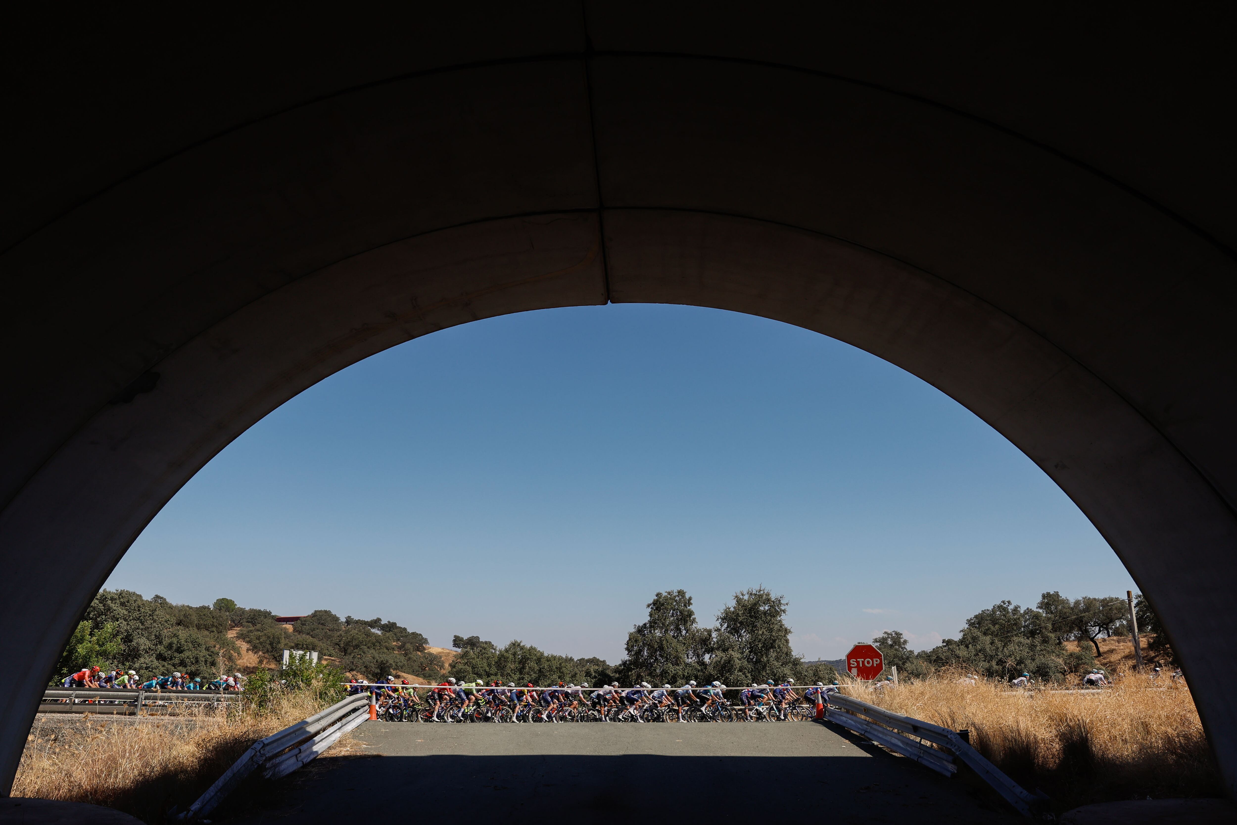 -FOTODELDÍA- SEVILLA 21/08/2024.- El pelotón ciclista durante la quinta etapa de la Vuelta a España que discurre este miércoles entre Fuente del Maestre (Badajoz) y Sevilla sobre un recorrido de 177 kilómetros. EFE/  Javier Lizón
