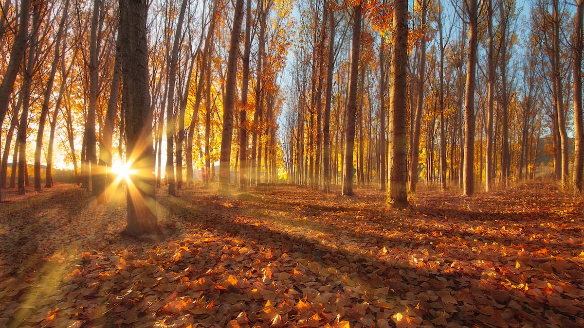 Meteorología Leonesa: Llegó el frío; sin apenas rastro del agua (04/11/2025)