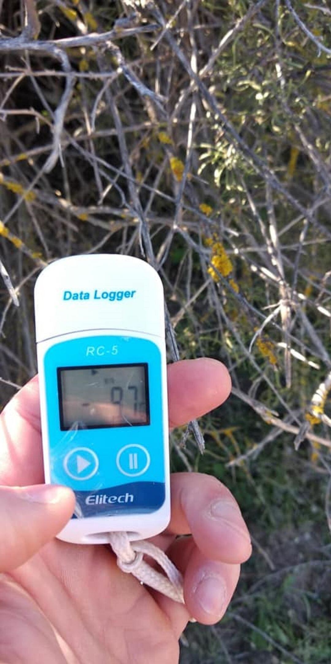 Termómetro sustraído