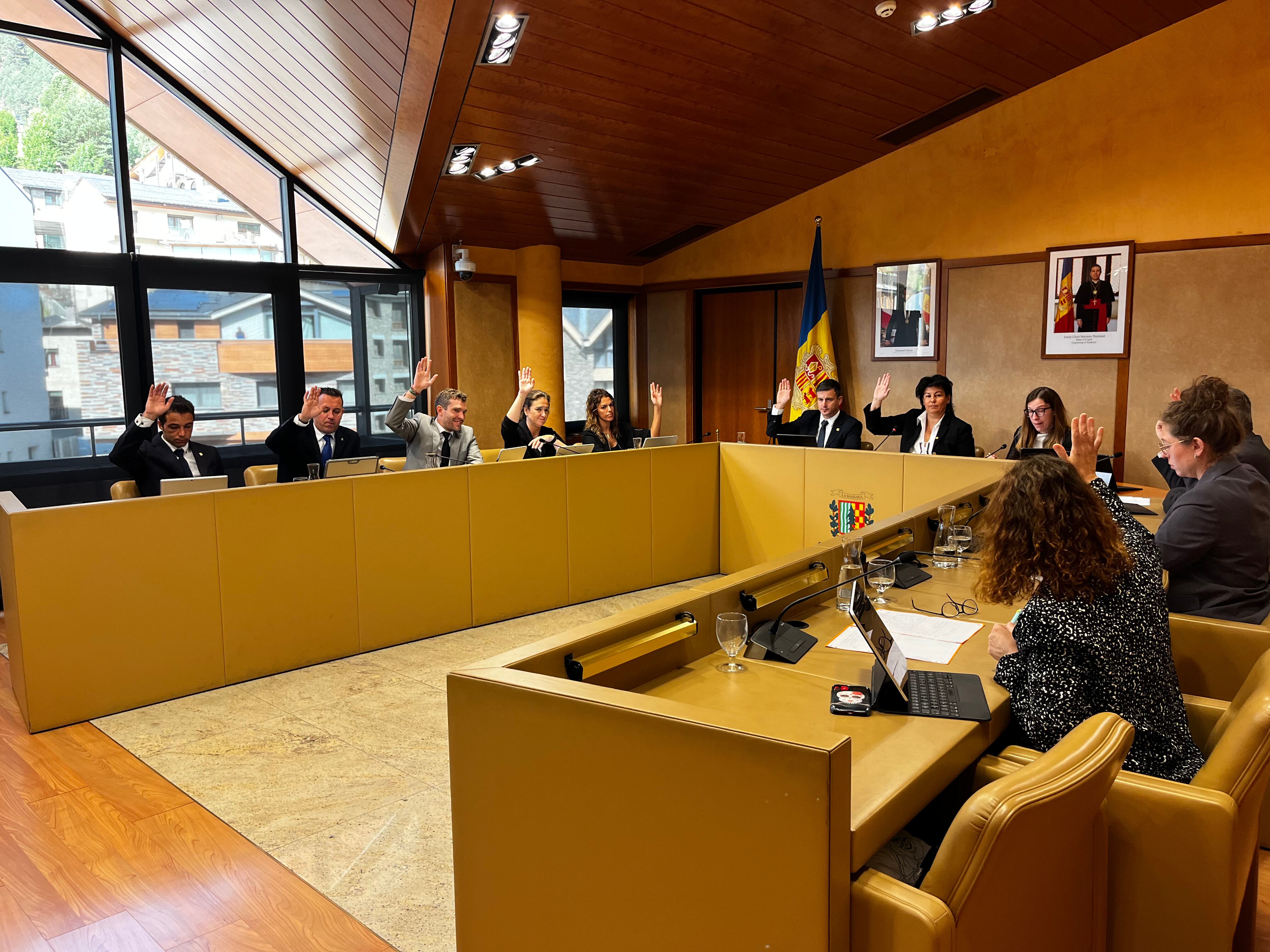 La consellera d'Amb Seny, Laura Bragança, ha votat a favor però creu que aquesta feina l'hauria de fer cada departament del comú