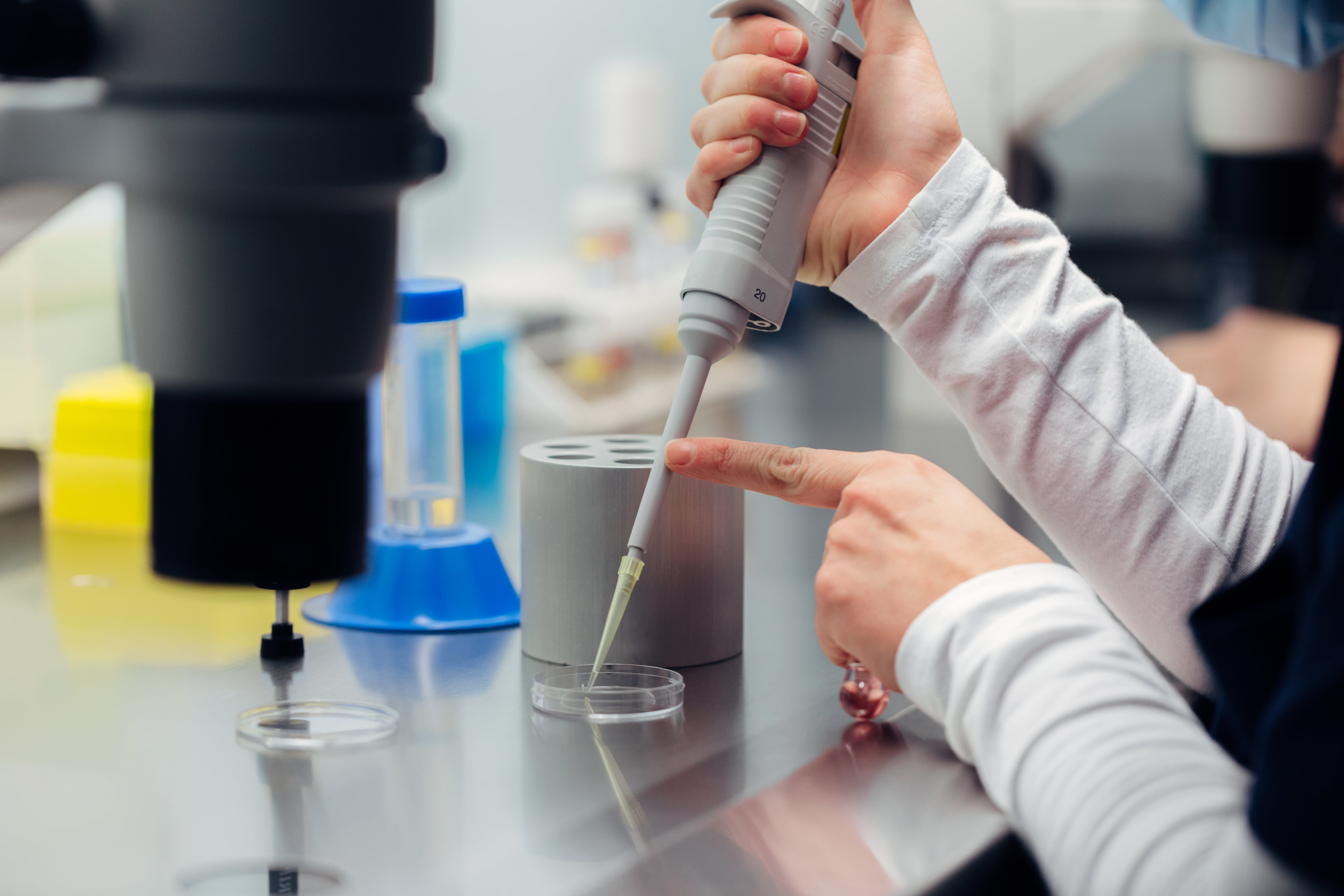 Laboratorio de IVF-Life