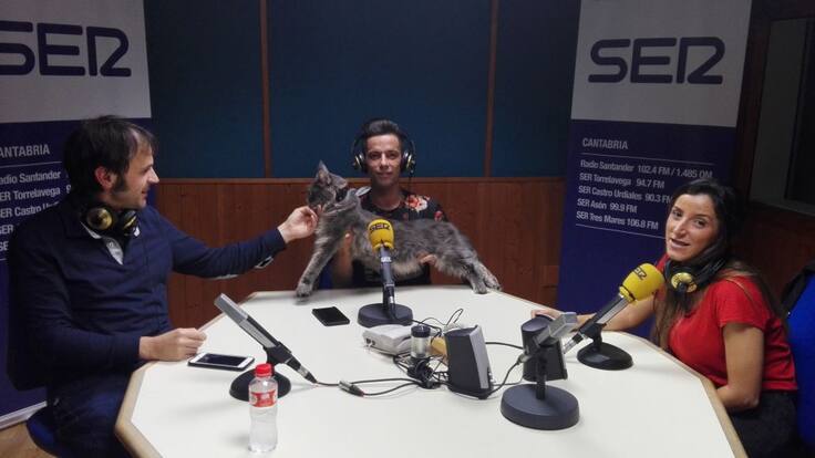 Entrevista 'Socio', gato cántabro que triunfa en instagram