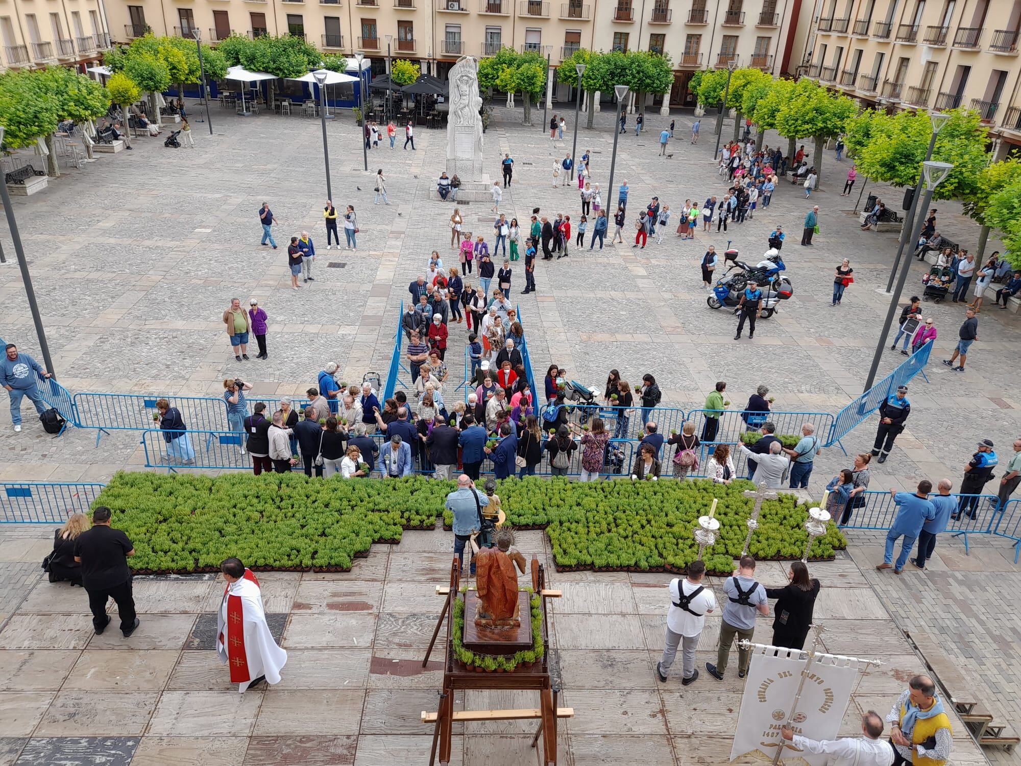 Reparto de tomillo en la Plaza Mayor de Palencia