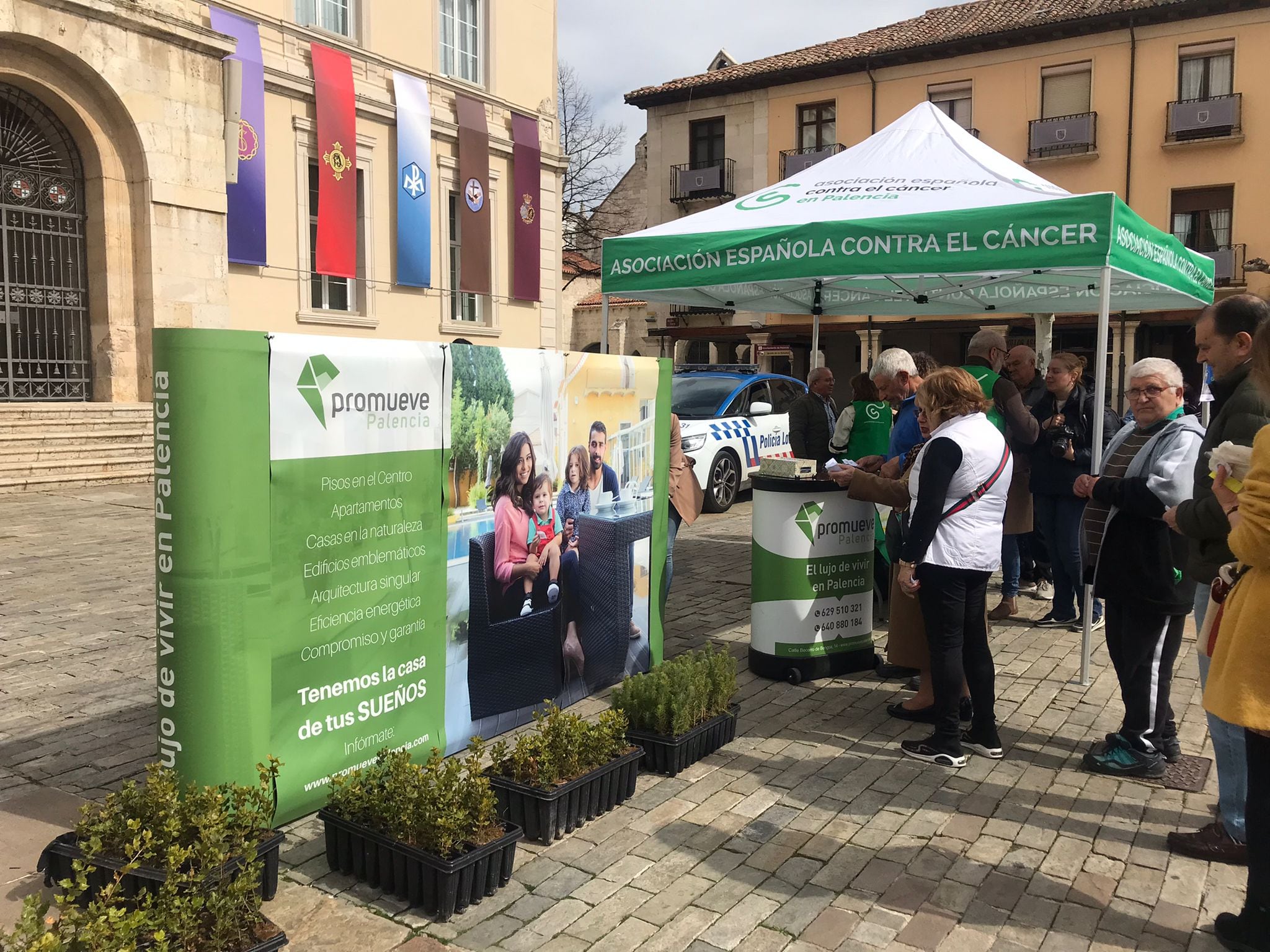 Entrega de árboles en la Plaza Mayor de Promueve Palencia y la AECC