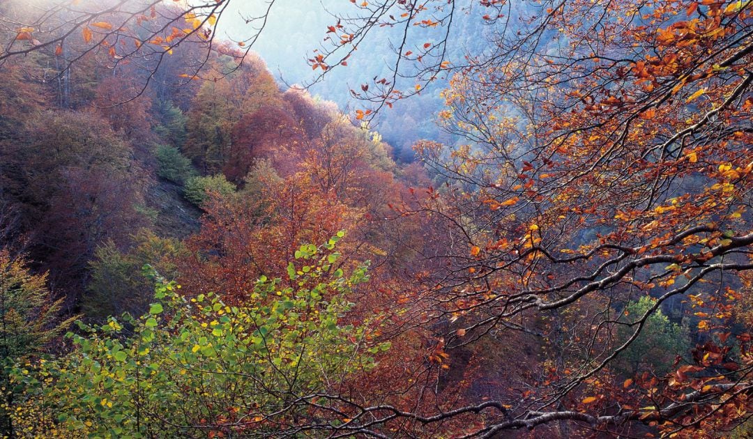 Otoño en Cantabria.