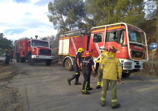 Imagen de uno de los momentos de la actuación de los bomberos y agentes medioambientales