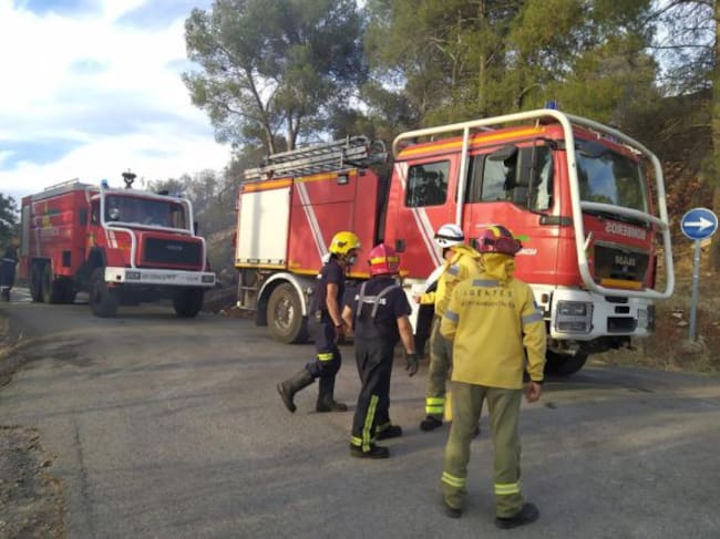 Imagen de uno de los momentos de la actuación de los bomberos y agentes medioambientales