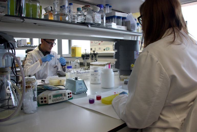 Jóvenes investigadores trabajan en un laboratorio