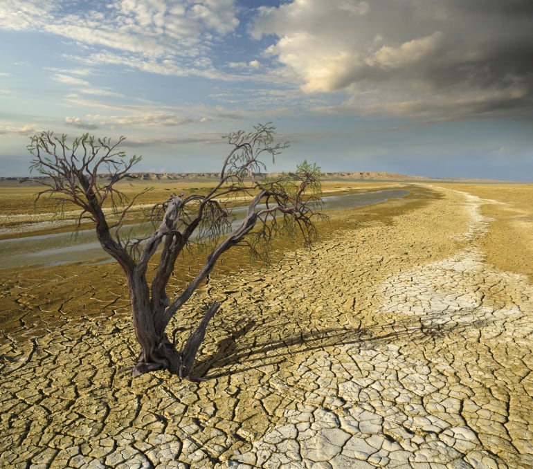 En Aragón el cambio climático ha tenido un efecto notable